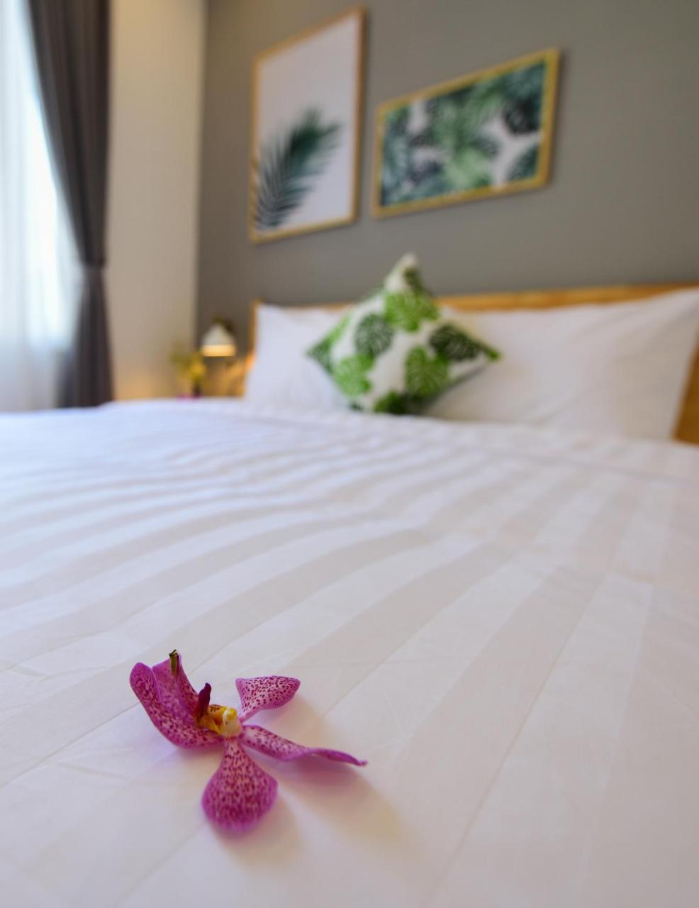 Hotel La Paix 2*
